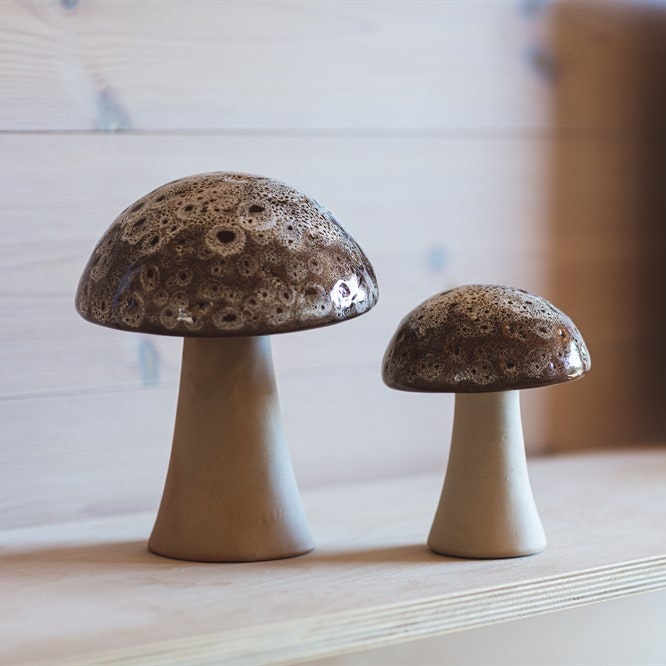 Dekorationssvamp fungus liten
