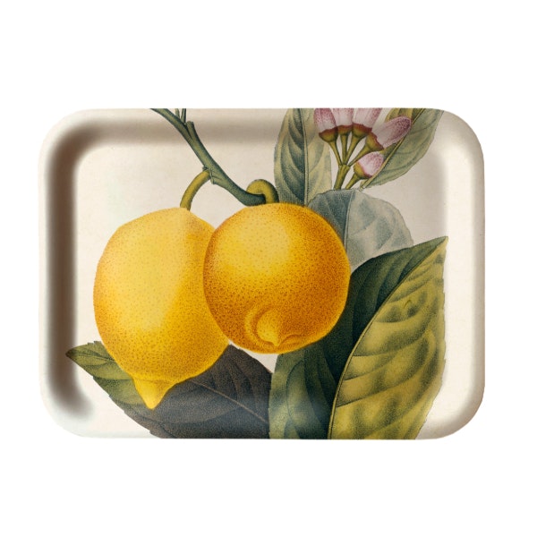 Bricka citron
