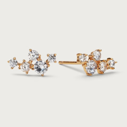 Örhänge Twinkle guld