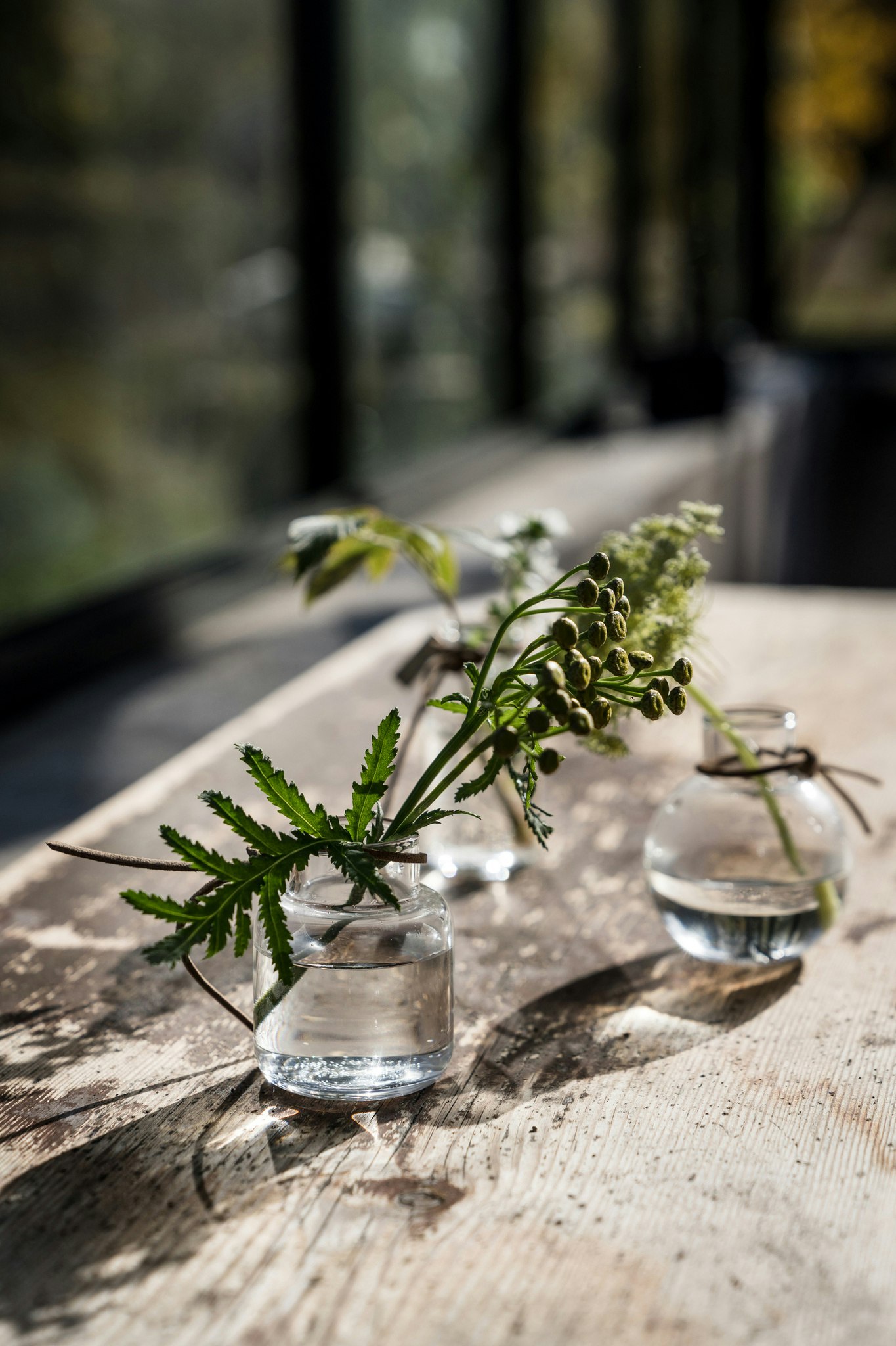Glasvaser 3-pack