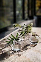 Glasvaser 3-pack
