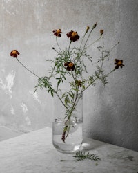 Glasvas bubbligt glas