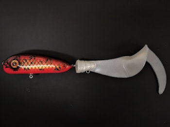 Red 08an burbot