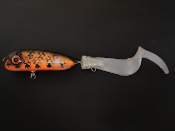 Hot orange burbot