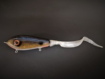 Blue back walleye