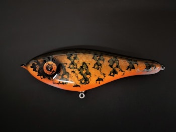 Hot orange burbot