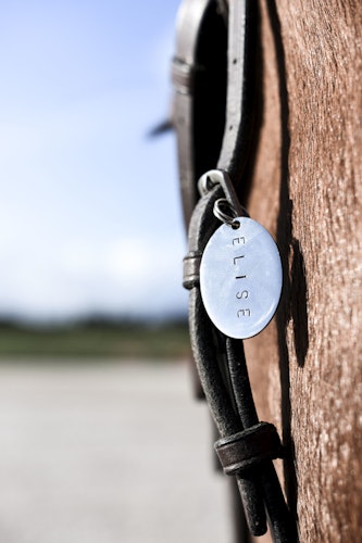 HORSE CHARM OVAL SILVER SHINY