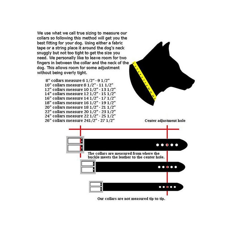 Hundhalsband Lionel - Arktisk Vit