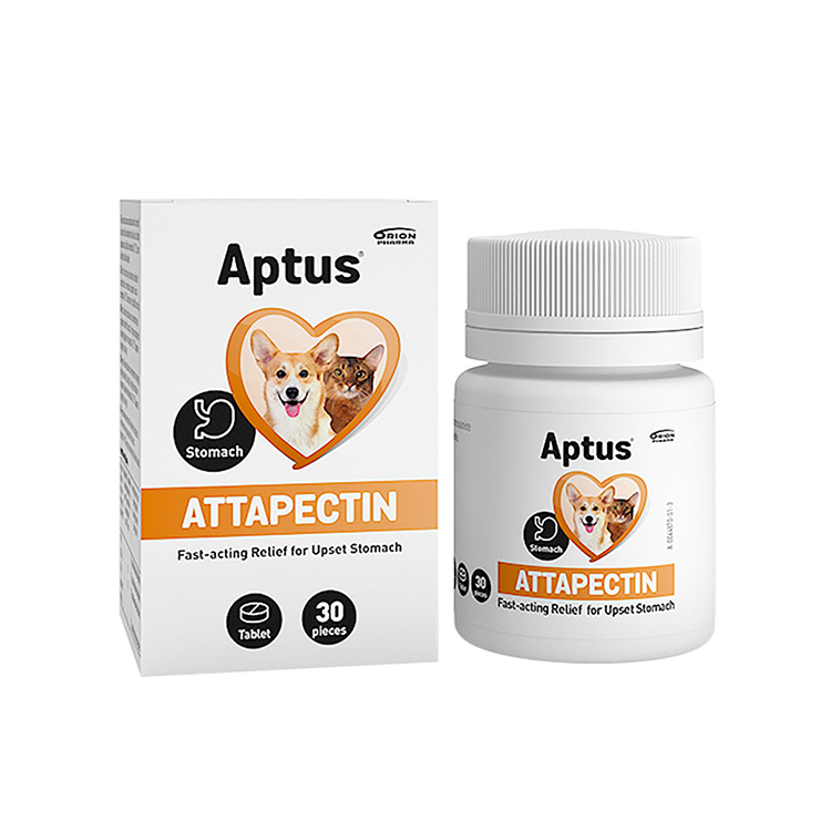 Aptus attapecitin tabletter 30st