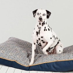 Geo Bee Bed Danish Design