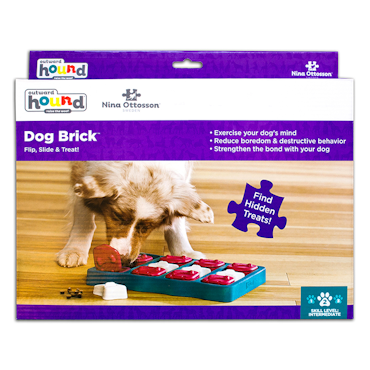 Dog Brick - Aktivitetsleksak - Nina Ottosson