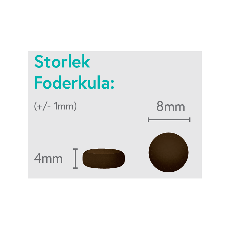Anka med Sötpotatis och Apelsin - Vuxen Liten Ras - 1,5kg