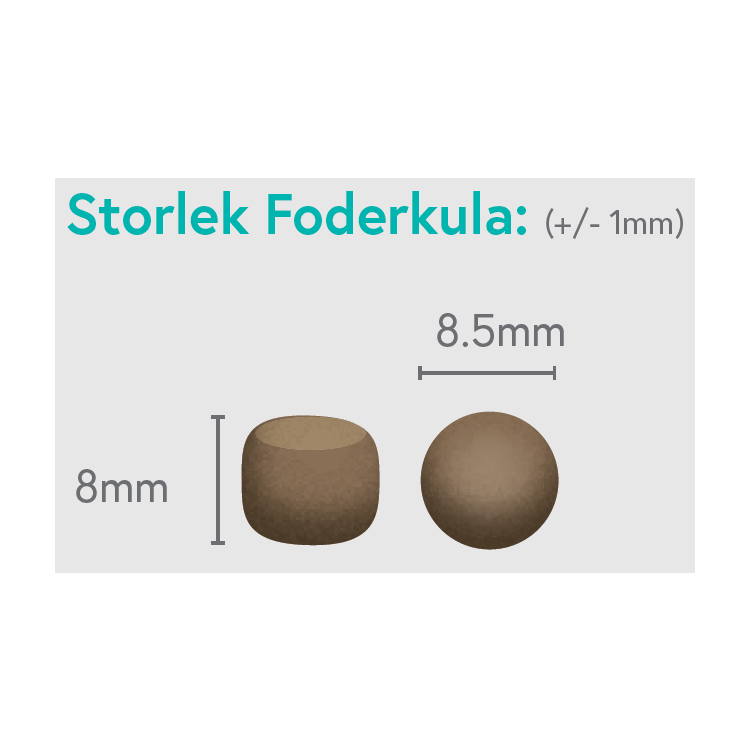 Kyckling med Kalkon, Lax, Sötpotatis och Morot - Valp - 1,5kg