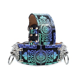 Hundhalsband Lionel - Iridescens