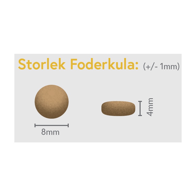 Lax med Potatis - Vuxen - Liten Ras