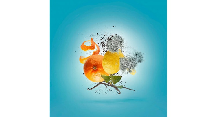 ERBA PURA by HEJOFF  5 ml