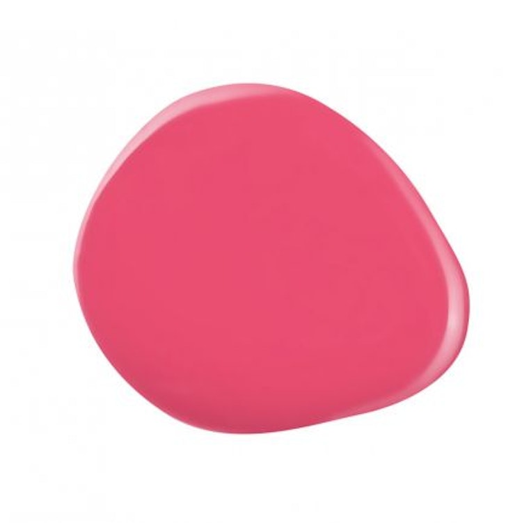 Shield Gel polish #528
