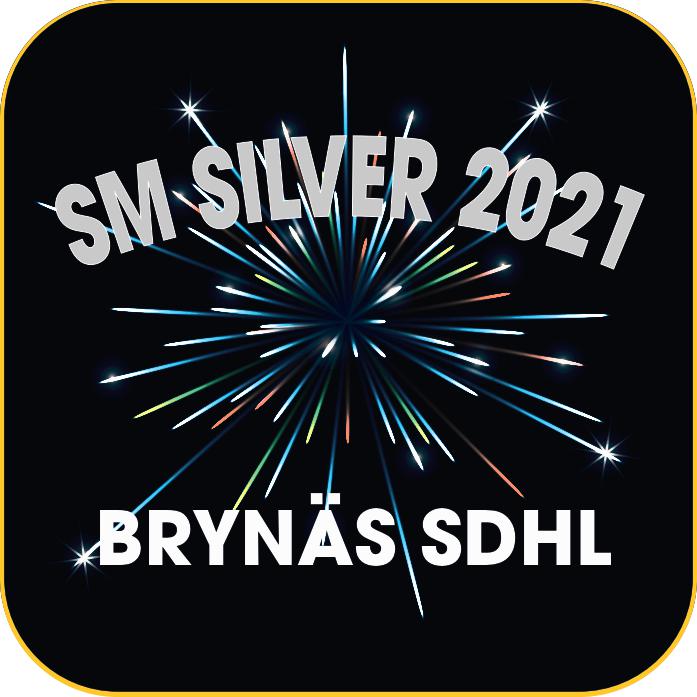 Motivask - Brynäs SDHL (Limited Edition)